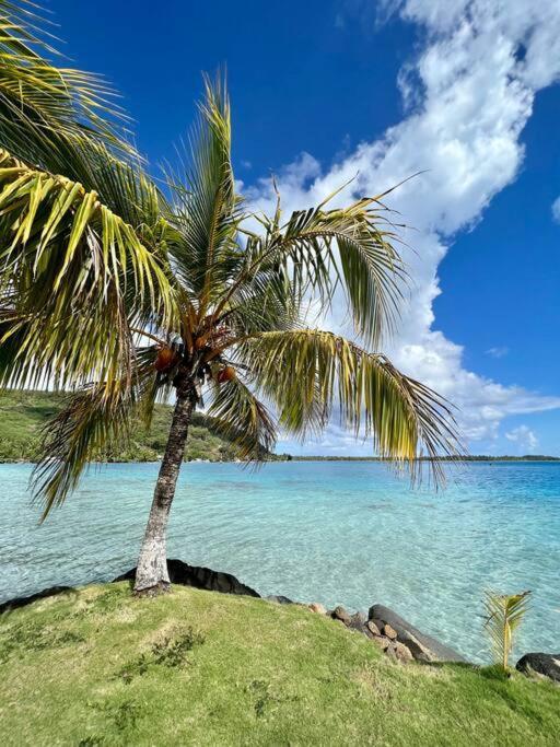 Waterfront Paradise 2 Br; Stunning Sunsets Bora Bora Eksteriør billede