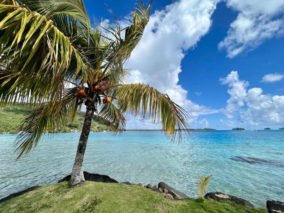 Waterfront Paradise 2 Br; Stunning Sunsets Bora Bora Eksteriør billede